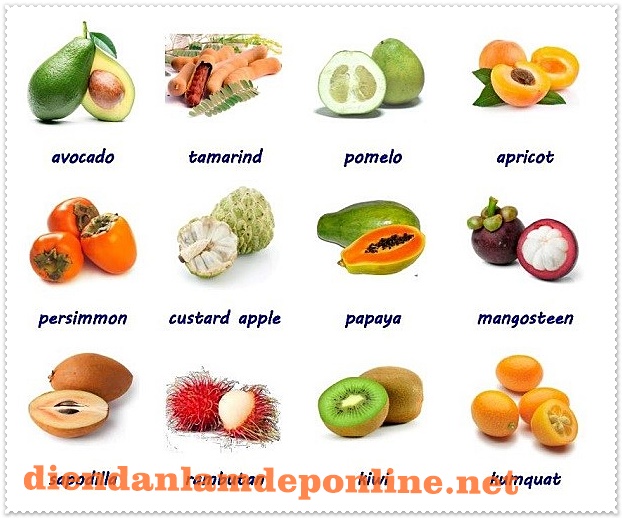 Tài liệu tiếng Đức