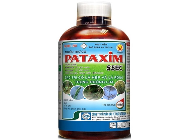 Pataxim 55EC diệt nhanh rong r&ecirc;u b&aacute;m tr&ecirc;n c&acirc;y