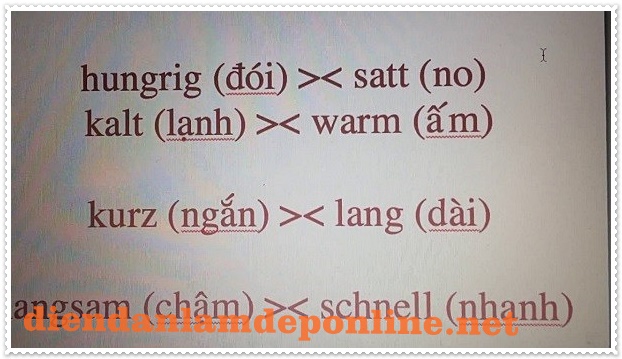 Ghi nhớ từ vựng tiếng Đức