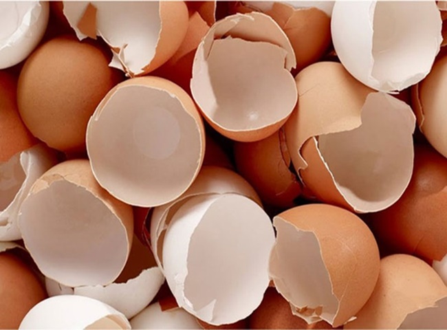 C&ocirc;ng dụng thần k&igrave; vỏ trứng gi&uacute;p đẩy nhanh m&ugrave;i h&ocirc;i