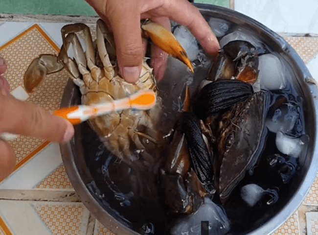 Xử l&yacute; m&ugrave;i tanh của cua v&agrave; ghẹ