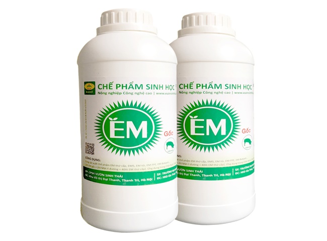 D&ugrave;ng chế phẩm sinh học để khử m&ugrave;i chuồng trại