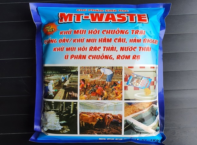 Men vi sinh khử m&ugrave;i chuồng trại