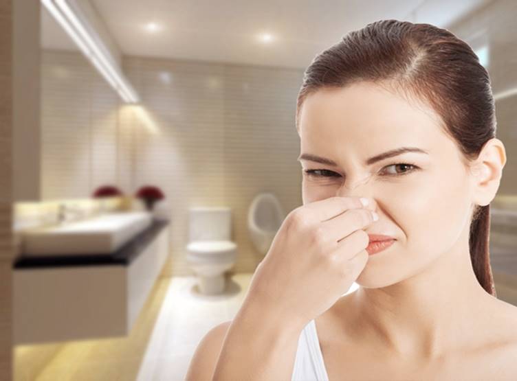Khử m&ugrave;i trong ph&ograve;ng g&acirc;y ra bởi nấm mốc
