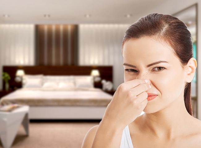 Mẹo khử m&ugrave;i kh&oacute;i trong ph&ograve;ng cực đơn giản dễ l&agrave;m