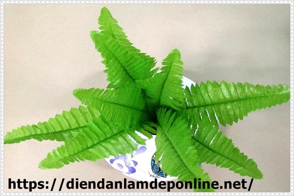 Trồng c&acirc;y Dương Xỉ trong nh&agrave; vệ sinh