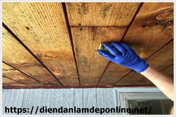 Làm sạch sơ bộ nấm mốc bán trên gỗ