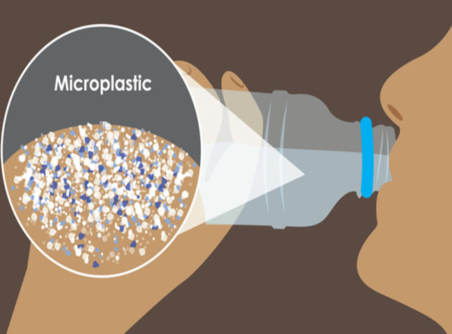 Vi nhựa g&acirc;y n&ecirc;n thay đổi chuyển h&oacute;a v&agrave; d&ograve;ng chảy năng lượng