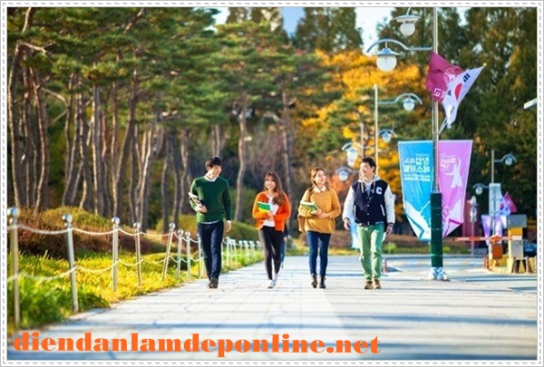 Du học H&agrave;n Quốc