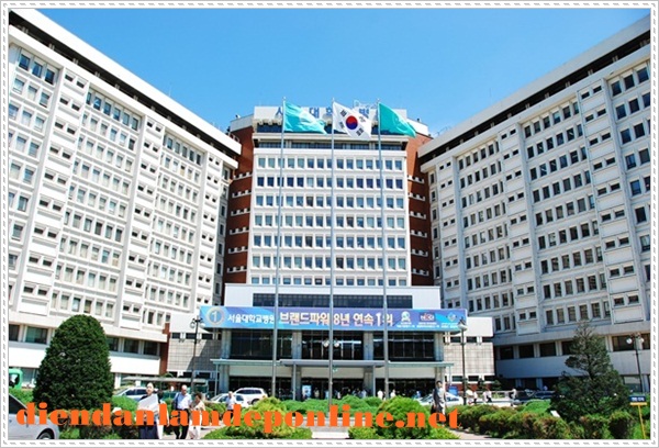 học bổng du học H&agrave;n Quốc