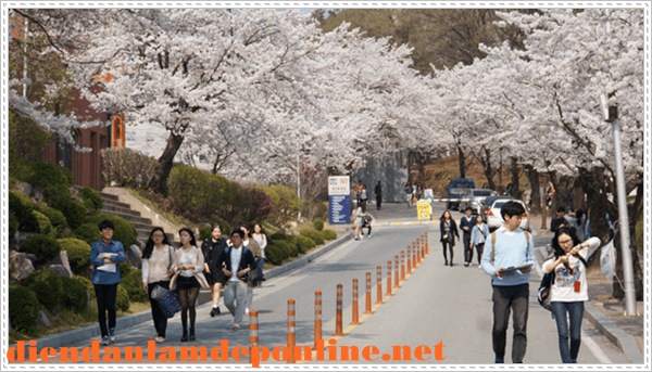 Học tiếng H&agrave;n tại H&agrave;n Quốc