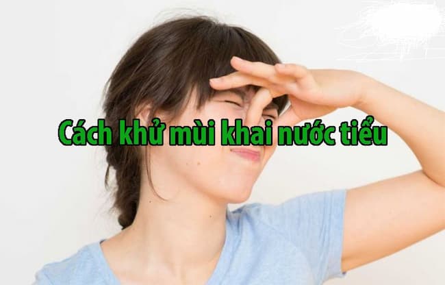 C&aacute;ch khử m&ugrave;i khai trong ph&ograve;ng vệ sinh khắc phục những m&ugrave;i h&ocirc;i kh&oacute; chịu