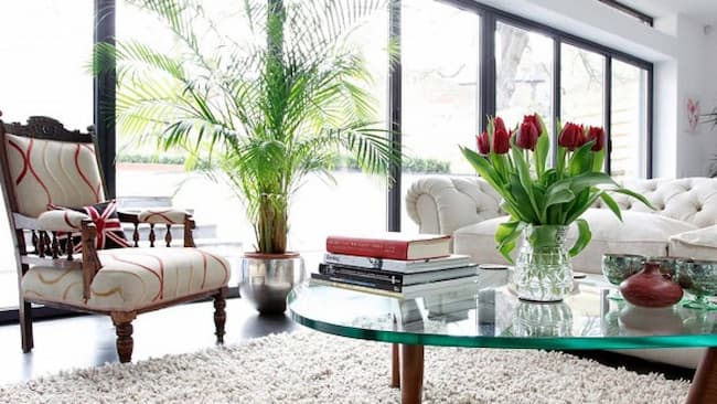 Hoa tươi kh&ocirc;ng chỉ khử m&ugrave;i ph&ograve;ng ngủ, n&oacute; c&ograve;n gi&uacute;p giấc ngủ s&acirc;u hơn