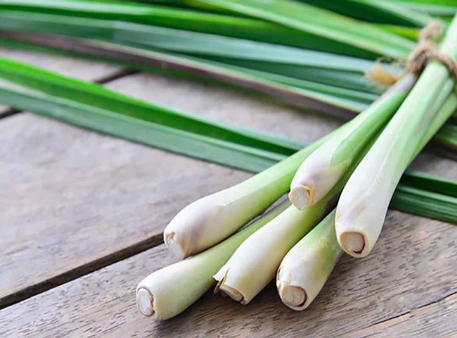 Sả gi&uacute;p khử m&ugrave;i h&ocirc;i ph&ograve;ng nhanh ch&oacute;ng v&agrave; hiệu quả