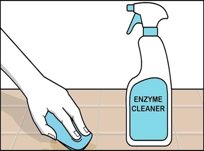 Sử dụng enzyme để giữ nệm thơm l&acirc;u, th&ocirc;ng tho&aacute;ng