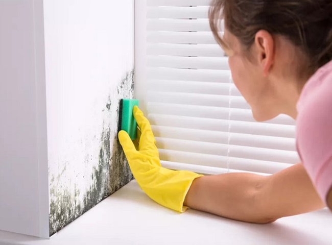 Xử l&yacute; nấm mốc gi&uacute;p ph&ograve;ng m&aacute;y lạnh lu&ocirc;n th&ocirc;ng tho&aacute;ng, thoải m&aacute;i